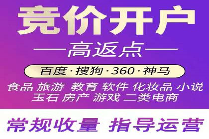 案例分析：竞价推广实战中的困境与突破